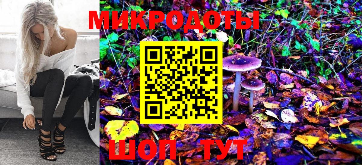 Галлюциногенные грибы MAGIC MUSHROOMS  Псилоцибиновые грибы Psilocybe  Кинешма  Вход с VPN 